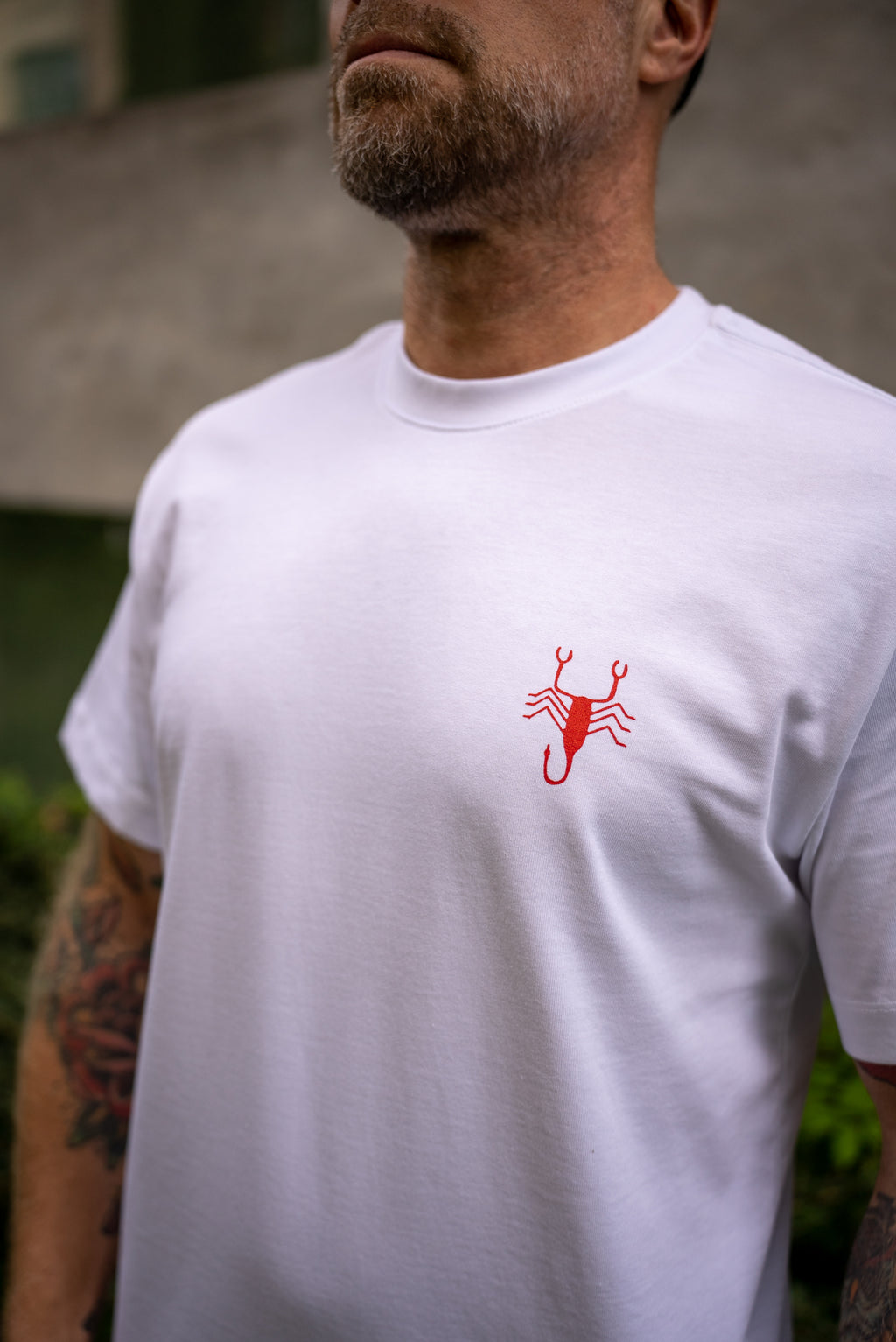 Water Your Plants - HOOHAxBASCO